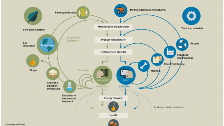 circular-economy-ellen-macarthur-system-diagram-essensus